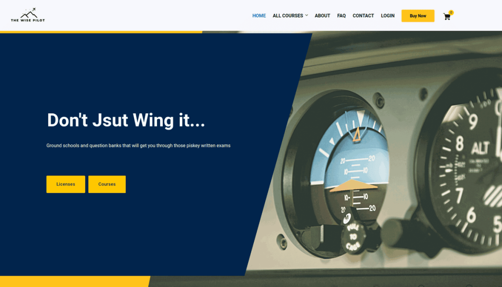 thewisepilot